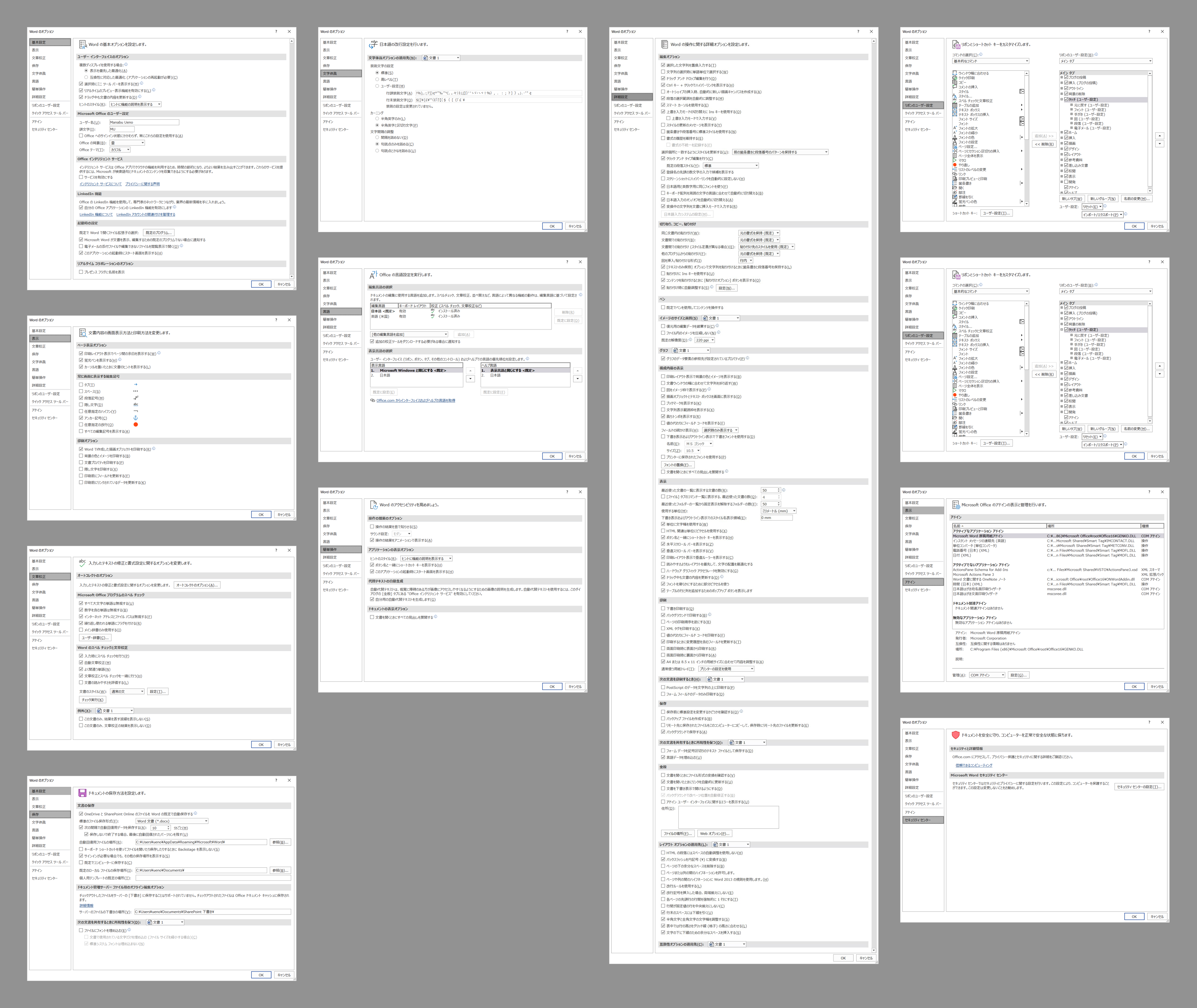 MS Word の設定項目のキャプチャ